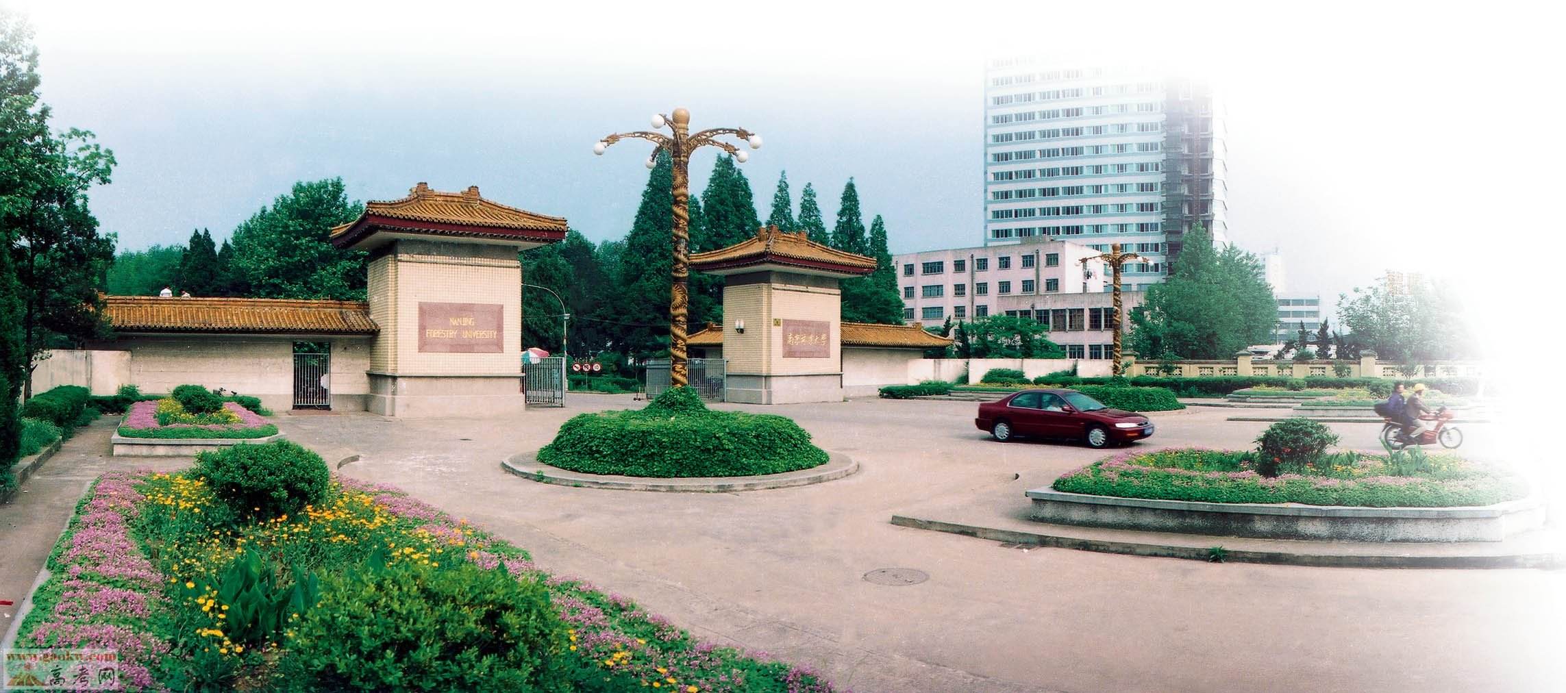  南京林业大学继续教育学院机构设置